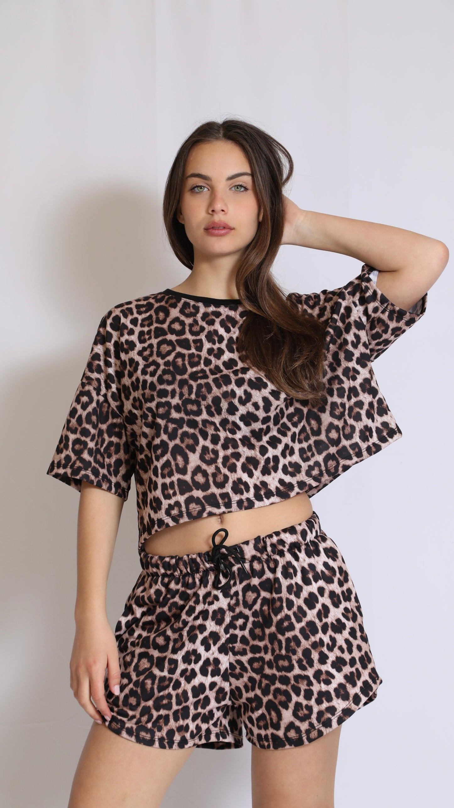 Set Animalier