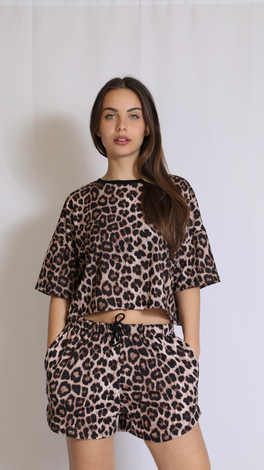 Set Animalier